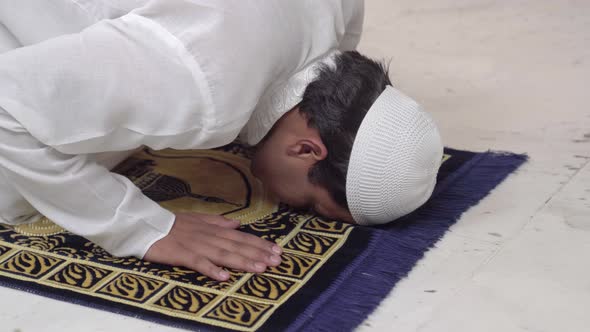 Sujud