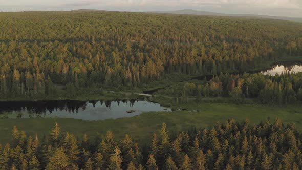 Ascending aerial over shirley bog towards dirt road Sunset