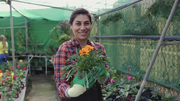 Woman gardener working in plants and flowers shop