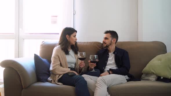 Smiling couple with wineglasses at home