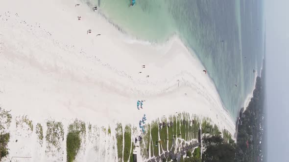 Vertical Video Boats in the Ocean Near the Coast of Zanzibar Tanzania Aerial View