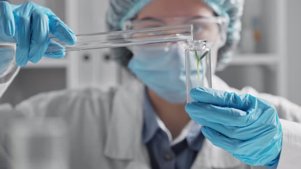 Laboratory Assistant Doctor Girl Pours Water Into A Glass Test Tube Water. Conducting An Experiment