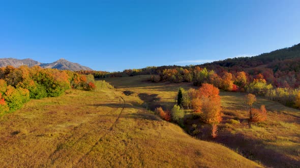 Descending aerial view of a stunning mountain meadow in a forest with autumn colors