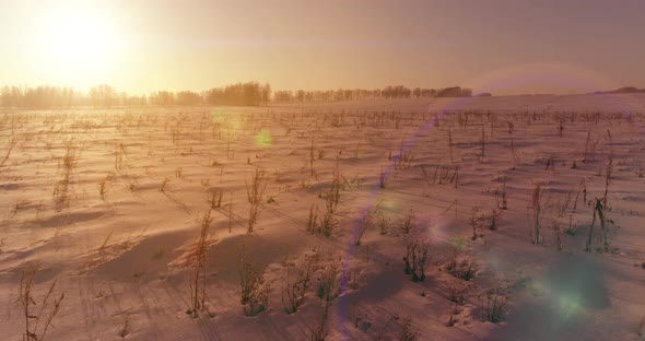 Aerial Drone View of Cold Winter Landscape with Arctic Field Trees Covered with Frost Snow and