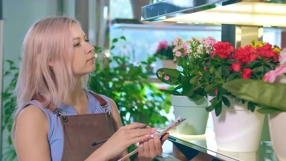 Flower Shop Assistant Observes Pots with Blooming Flora