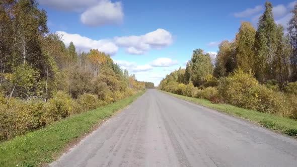 Close Flight Asphalt Road with Green Hard Shoulders in Wood