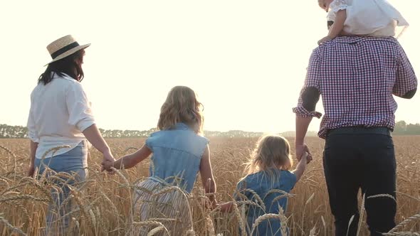 walk of adult parents with girls on summer field sunset.