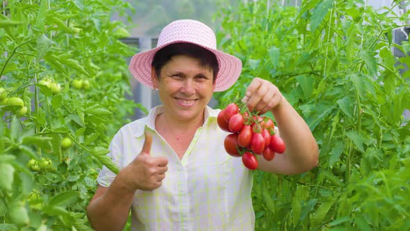 Mature Woman with Thumb Up Holds Tomatoes in Her Hand and Showing Them to the Camera