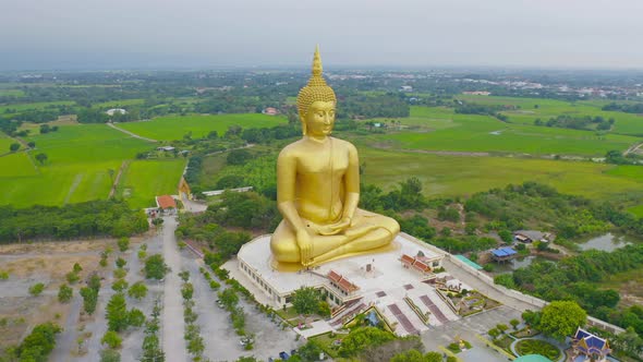 Aerial view of the Giant Golden Buddha in Wat Muang in Ang Thong district with paddy rice field