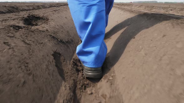 Close-up of Legs, Male Farmer Walks Through Deep Furrow, Between Soil Rows on Field. Potatoe