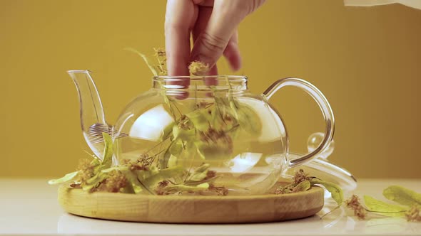 Putting Linden or tilia tea in the transparent tea pot