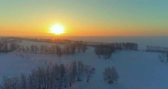 Aerial Drone View of Cold Winter Landscape with Arctic Field Trees Covered with Frost Snow