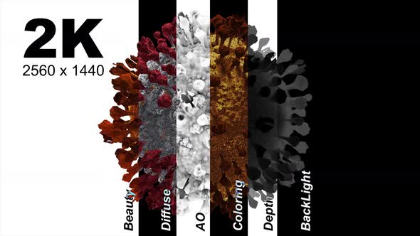 Fictional Image of Coronavirus Infection Looped Model