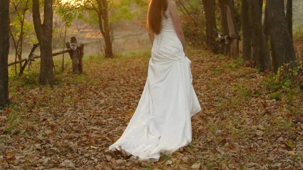 Back View of a Young Brunette Woman in Long White Dress Walks Along Autumn Colorful Forest Against
