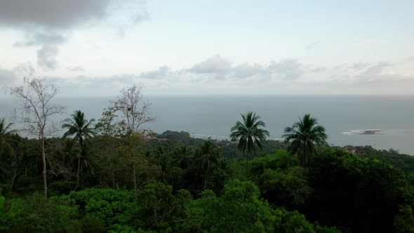 Aerial view over a jungle natural landscape revealing the ocean in Thailand