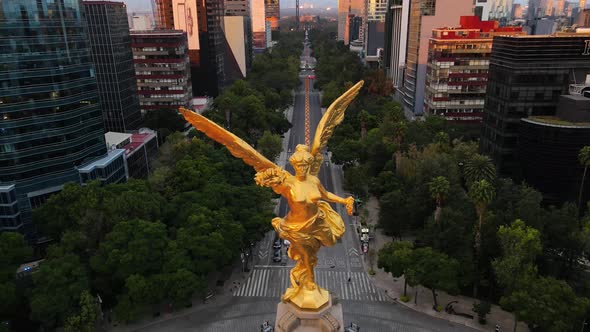 Angel of independence in Mexico city on aerial footage maded with drone, with cempasuchil flowers on