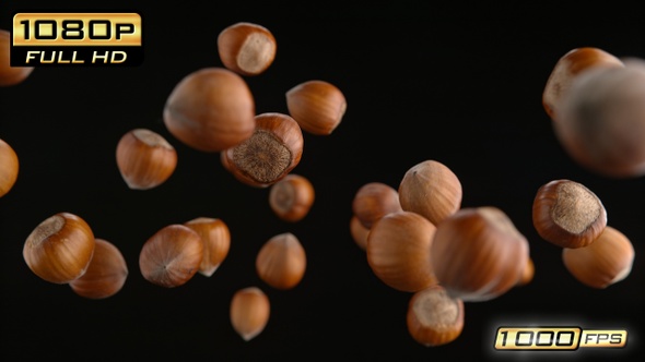 Flying Hazelnuts in Shells