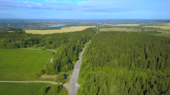 A huge forest with tall green trees