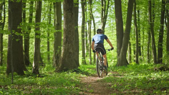 A Man on a Bicycle is Riding Along a Forest Path