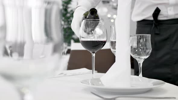 Male Waiter in White Gloves Pours Red Wine Into a Glass