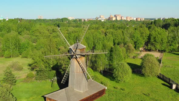 Windmill in the Forest