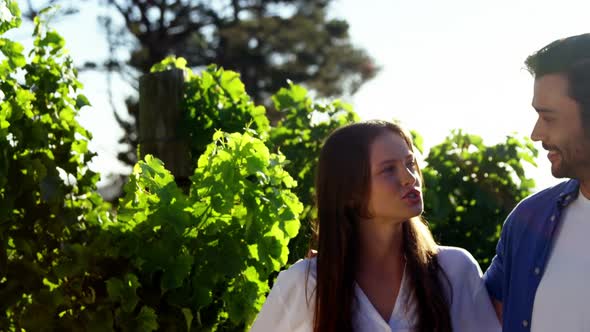 Romantic couple interacting with each other in vineyard