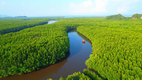 Top view of winding river in tropical mangrove green tree forest in khao jom pa