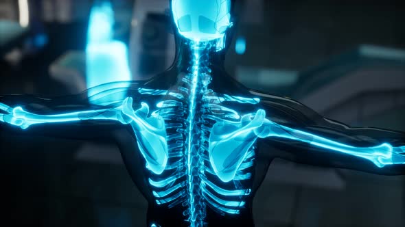 Human Skeleton Bones Scan Exam in Lab