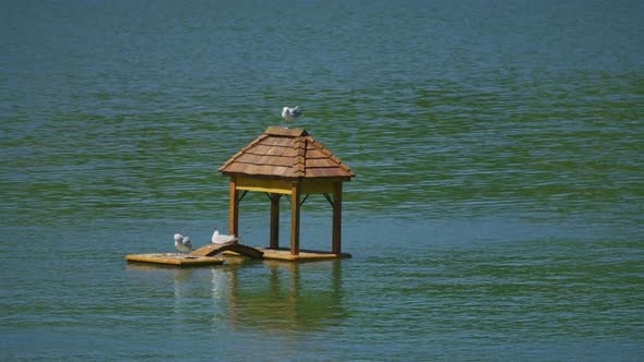 Lake with a floating pavilion