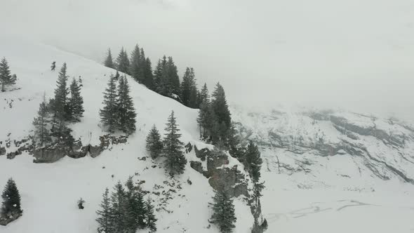 Aerial dolly of pine trees at the edge of mountain overlooking snow white valley