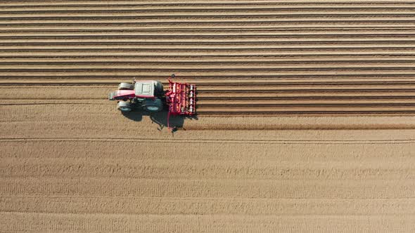 Tractor with Disc Harrows on the Farmland