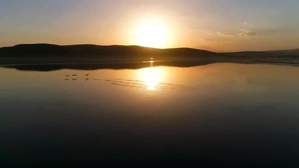 Reflection of birds flying above water at sunset.