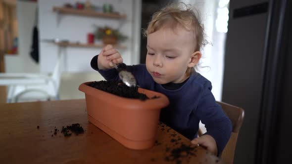 Close Portrait of a Toddler Playing with Soil in a Flower Pot While Sitting at a Table in the