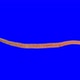 Earthworm creep with alpha channel - VideoHive Item for Sale