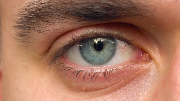 Beautiful Blinking Male Eye Closeup