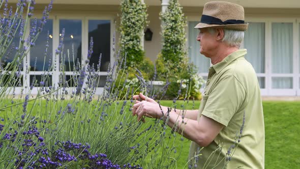 Senior man smelling flowers