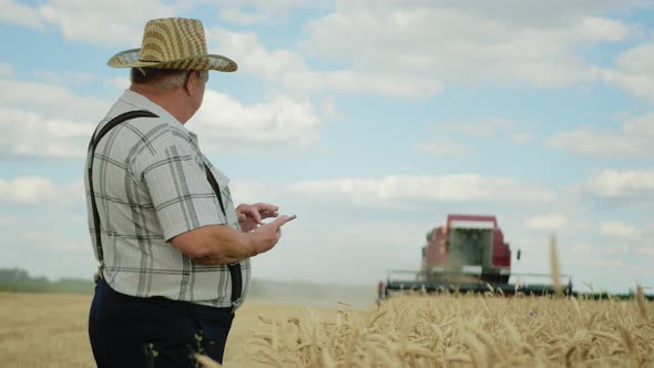 The Adult Agricultural Boss Farmer in Golden Wheat Field