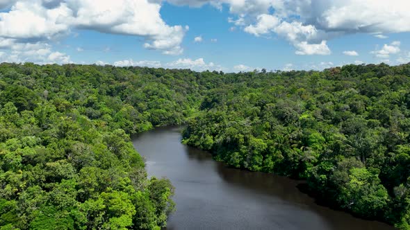 Stunning landscape of Amazon Forest at Amazonas State Brazil.