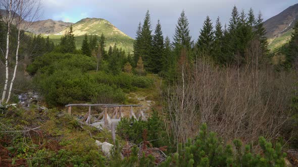 Colourful fairytale mountain scenery of a valley with a stream and wooden bridge in West Tatras moun