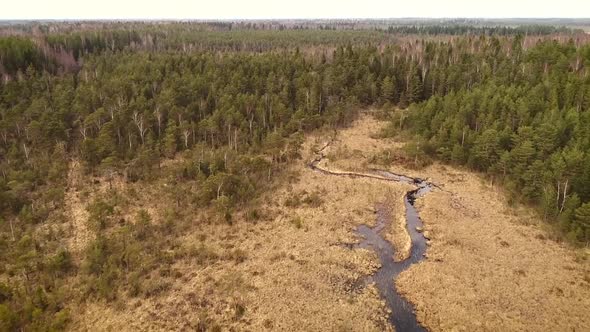 Aerial view of Valgejarv lake, also known as a White lake.