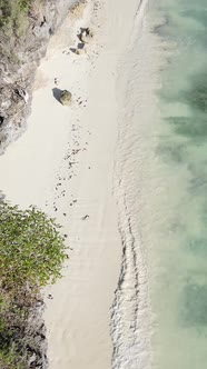 Vertical Video of the Ocean Near the Coast of Zanzibar Tanzania