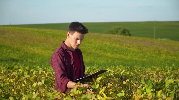 Young Farmer Writes Down the Growth Rates of Soybeans. Concept Ecology, Bio Product, Inspection