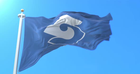 Shizuoka City Flag, Japan