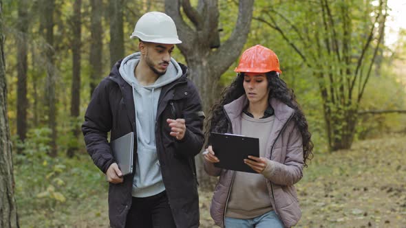 Two Diverse Forestry Engineers in Hardhats with Tablet Indian Man and Oriental Woman in Helmets