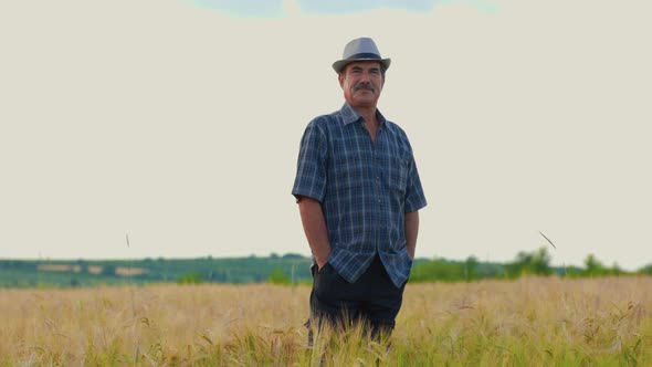 Aged Male Farmer with His Hands in His Pocket Front View in the Wheat Field