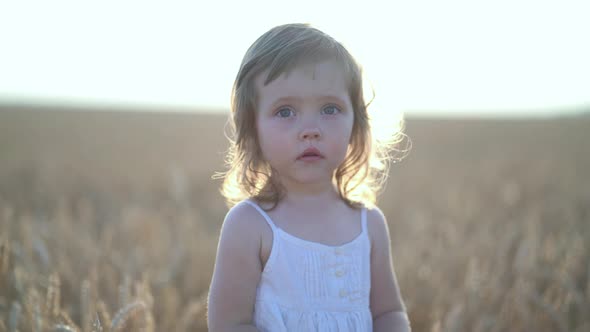 Portrait of Little Girl in a White Dress in Field