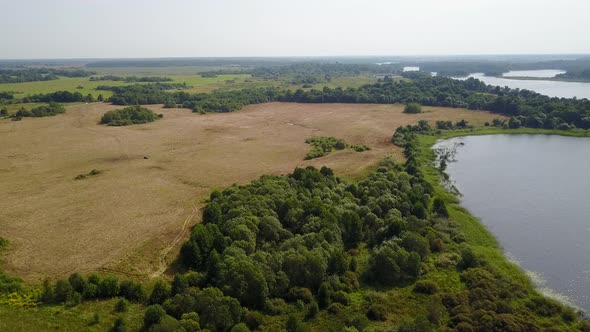 Wild Nature Of The Lake Zaronovo 32