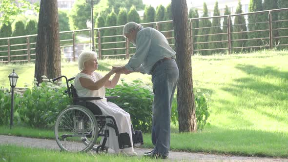 Wide Shot of Senior Man Helping Beautiful Woman To Stand Up From Wheelchair in Sunny Summer Park