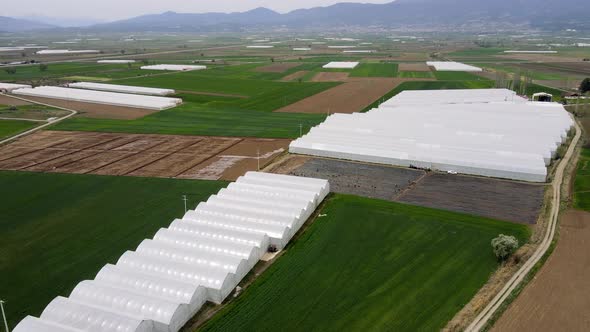 Farm Greenhouse