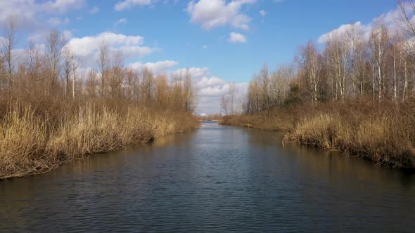 The River Between Trees And Reeds In Early Spring